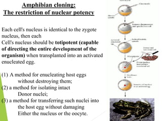 Enucleating CELL DIFFERENTIATION.pdf a ppt on cell differentiation | PDF