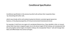 Journey from Stem Cell to Specialized Form (Cell Differentiation) | PPTX