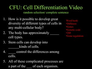 CFU: Cell Differentiation Video
random selection/ complete sentence
1. How is it possible to develop great
diversity of different types of cells in
any multi-cellular body?
2. The body has approximately _____
cell types.
3. Stem cells can develop into
______kinds of cells.
4. ____ control the differences among
cells.
5. All of these complicated processes are
a part of the ___ of each organism.
Word bank:
•Different
•Genes
•Genetic code
•260
•Gene regulation
 
