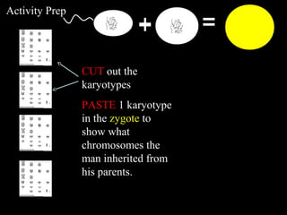 Activity Prep
CUT out the
karyotypes
PASTE 1 karyotype
in the zygote to
show what
chromosomes the
man inherited from
his parents.
 