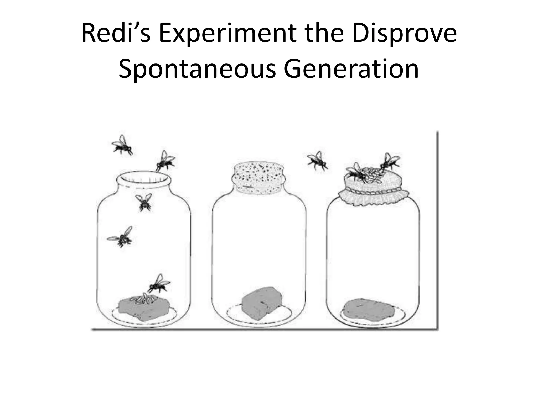Redi’s Experiment the Disprove
  Spontaneous Generation
 