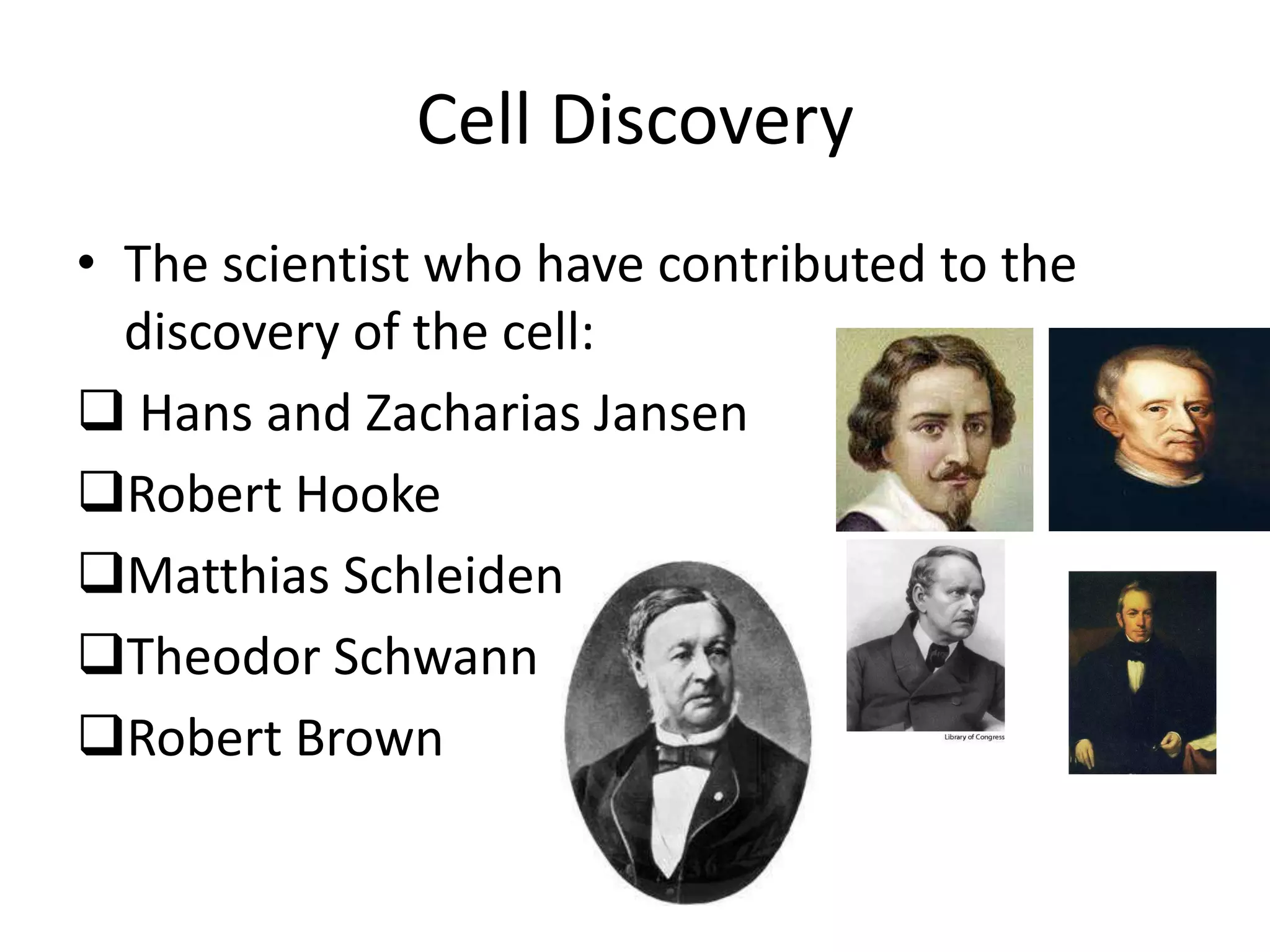 Cell Discovery
• The scientist who have contributed to the
  discovery of the cell:
 Hans and Zacharias Jansen
Robert Hooke
Matthias Schleiden
Theodor Schwann
Robert Brown
 