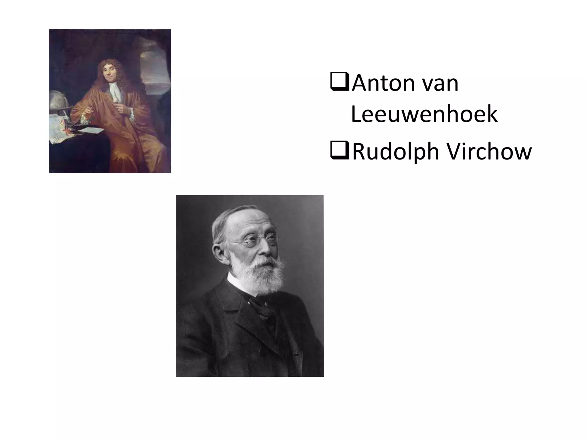 Anton van
 Leeuwenhoek
Rudolph Virchow
 