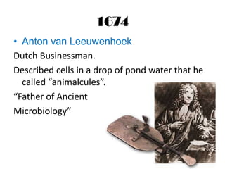 1674
• Anton van Leeuwenhoek
Dutch Businessman.
Described cells in a drop of pond water that he
  called “animalcules”.
“Father of Ancient
Microbiology”
 
