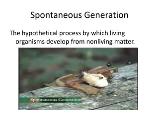 Spontaneous Generation
The hypothetical process by which living
  organisms develop from nonliving matter.
 