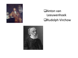 Anton van
 Leeuwenhoek
Rudolph Virchow
 