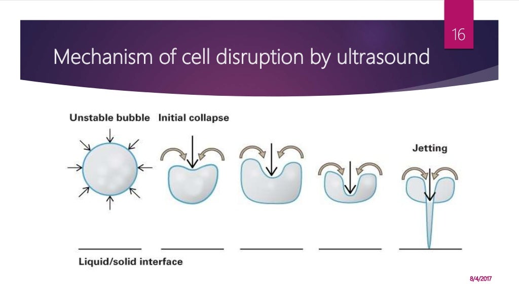 Cell disruption methods
