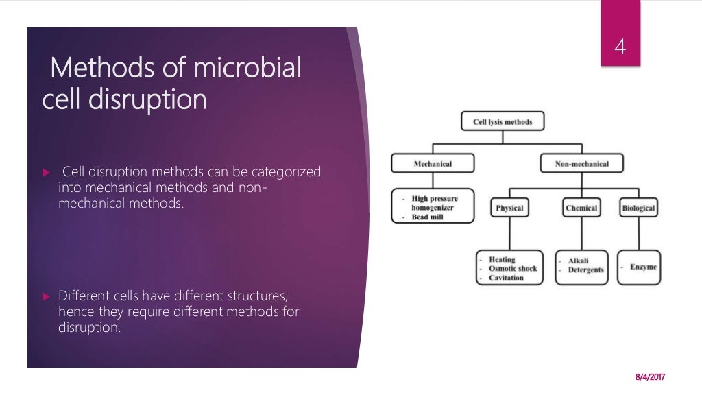 Cell disruption methods