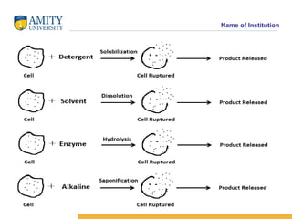 Cell Disruption Methods Ppt Cell Disruption (2).ppt of Amity University | PPT