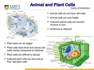 Robust Cell Cell Disruption (2).ppt of Amity University | PPT