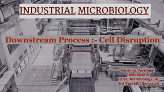 INDUSTRIAL MICROBIOLOGY
Downstream Process :- Cell Disruption
Vanshika Varshney
18081564015
B.Sc. Microbiology (H)
3rd Year (5th Semester)
 