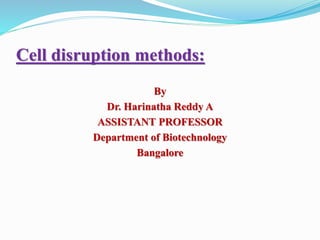 Cell disruption methods:
By
Dr. Harinatha Reddy A
ASSISTANT PROFESSOR
Department of Biotechnology
Bangalore
 