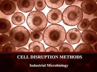 CELL DISRUPTION METHODS
Industrial Microbiology
 