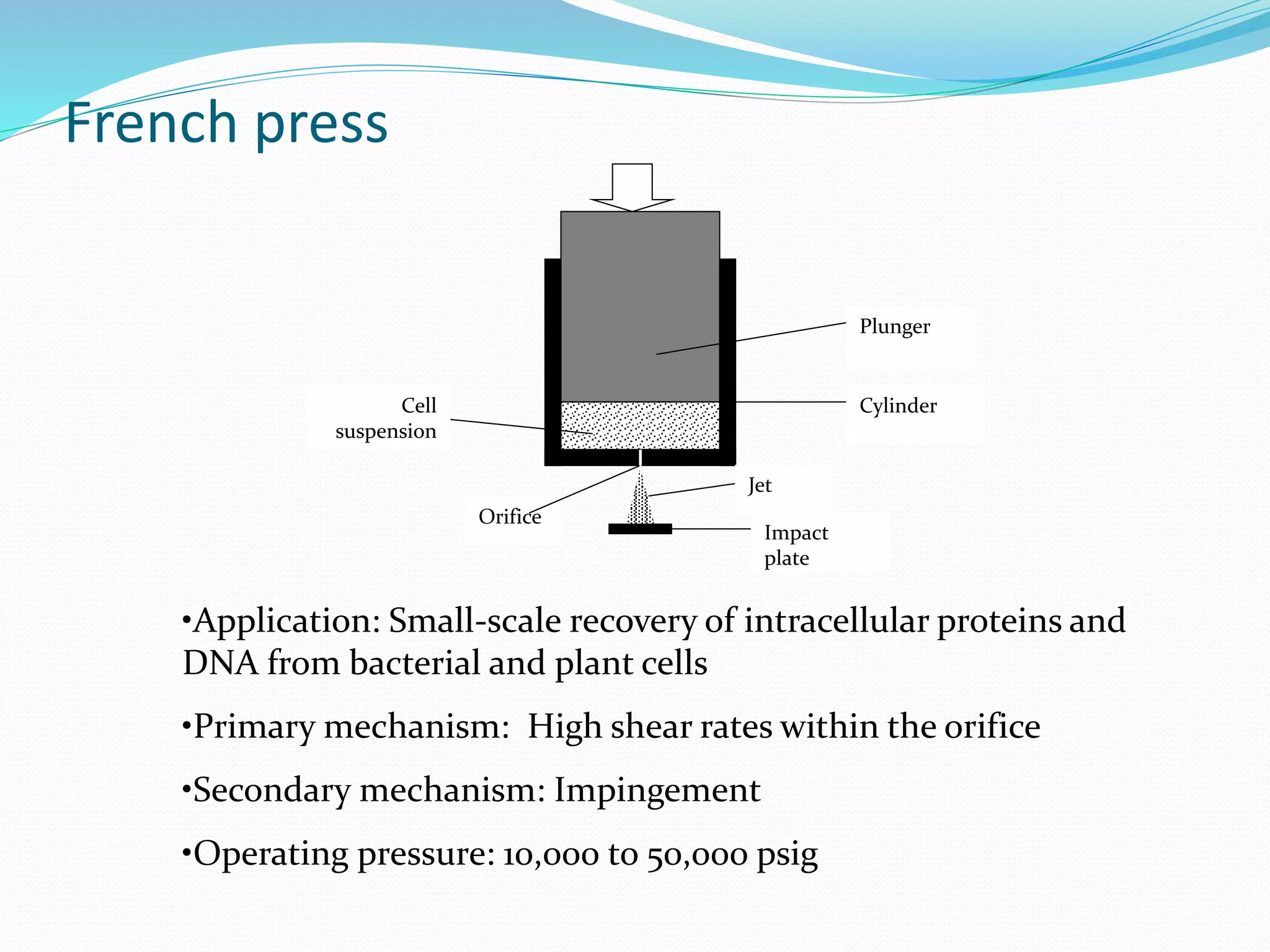 French press
Plunger
CylinderCell
suspension
Impact
plate
Jet
Orifice
•Application: Small-scale recovery of intracellular proteins and
DNA from bacterial and plant cells
•Primary mechanism: High shear rates within the orifice
•Secondary mechanism: Impingement
•Operating pressure: 10,000 to 50,000 psig
 
