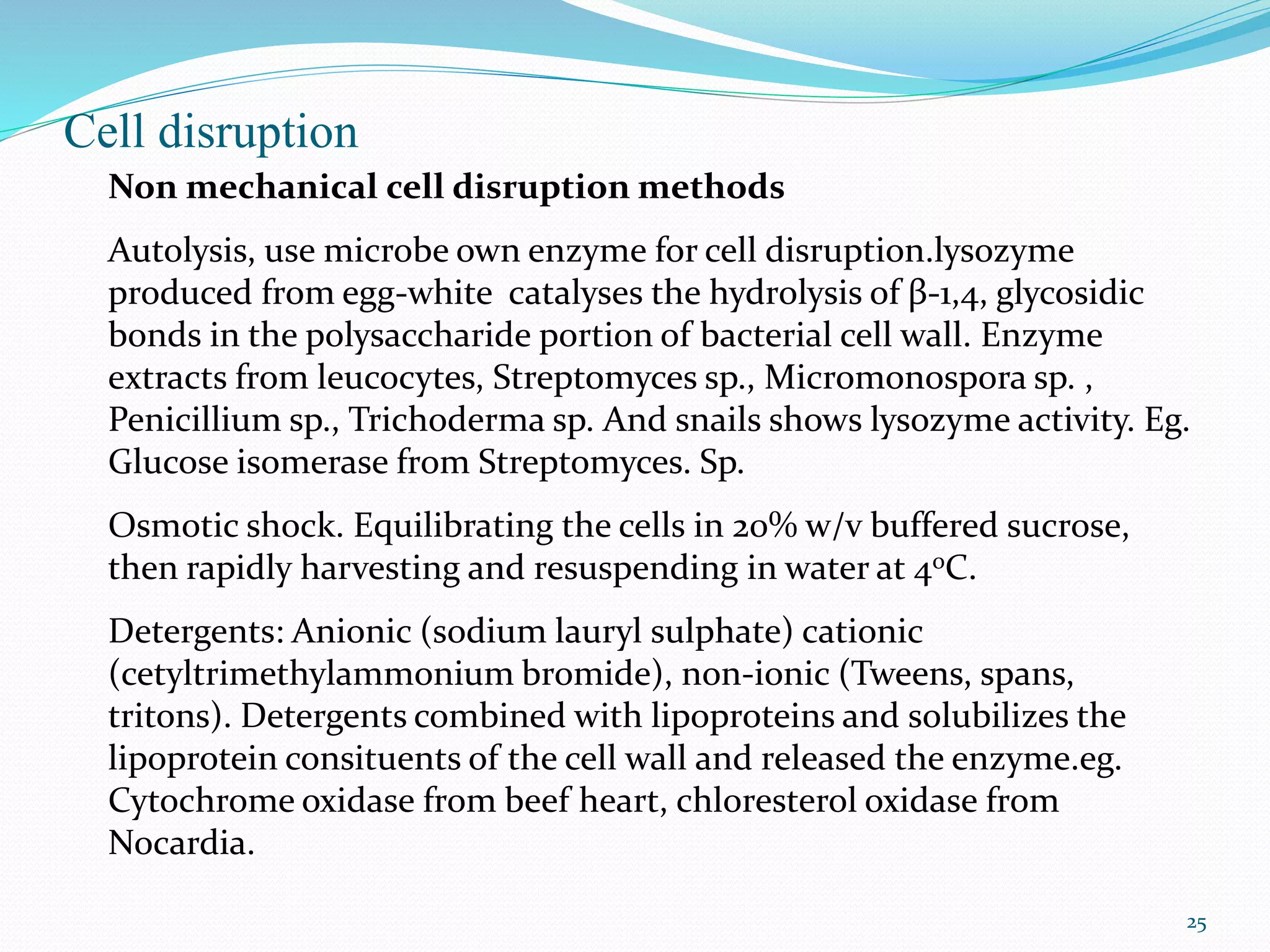 Cell disruption
25
Non mechanical cell disruption methods
Autolysis, use microbe own enzyme for cell disruption.lysozyme
produced from egg-white catalyses the hydrolysis of β-1,4, glycosidic
bonds in the polysaccharide portion of bacterial cell wall. Enzyme
extracts from leucocytes, Streptomyces sp., Micromonospora sp. ,
Penicillium sp., Trichoderma sp. And snails shows lysozyme activity. Eg.
Glucose isomerase from Streptomyces. Sp.
Osmotic shock. Equilibrating the cells in 20% w/v buffered sucrose,
then rapidly harvesting and resuspending in water at 4oC.
Detergents: Anionic (sodium lauryl sulphate) cationic
(cetyltrimethylammonium bromide), non-ionic (Tweens, spans,
tritons). Detergents combined with lipoproteins and solubilizes the
lipoprotein consituents of the cell wall and released the enzyme.eg.
Cytochrome oxidase from beef heart, chloresterol oxidase from
Nocardia.
 