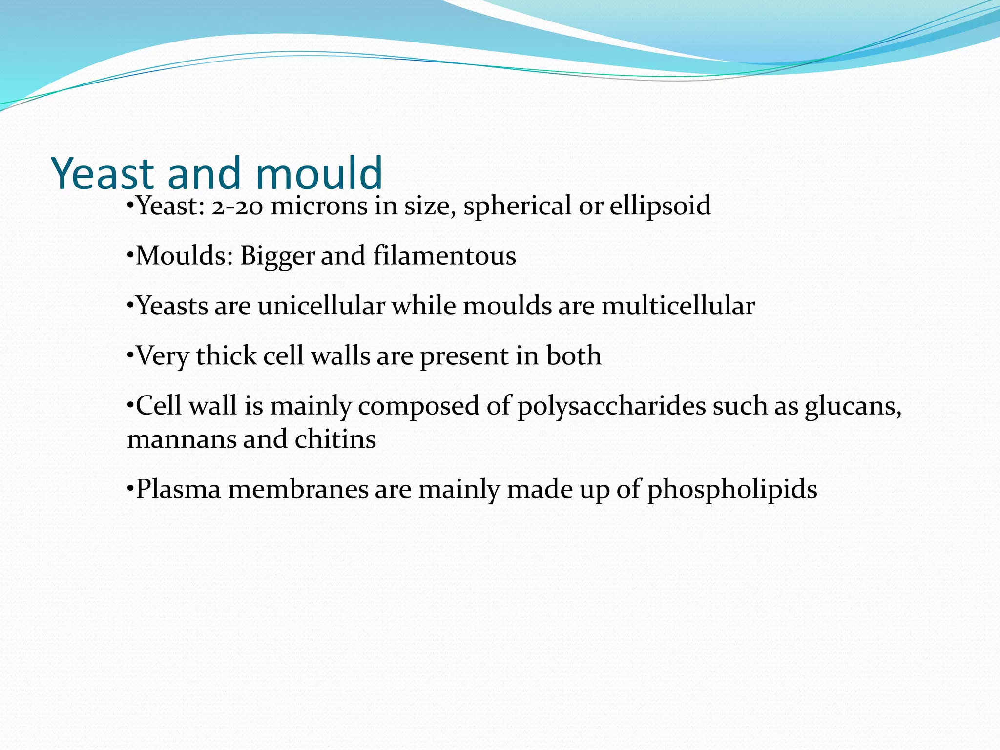 Yeast and mould
•Yeast: 2-20 microns in size, spherical or ellipsoid
•Moulds: Bigger and filamentous
•Yeasts are unicellular while moulds are multicellular
•Very thick cell walls are present in both
•Cell wall is mainly composed of polysaccharides such as glucans,
mannans and chitins
•Plasma membranes are mainly made up of phospholipids
 