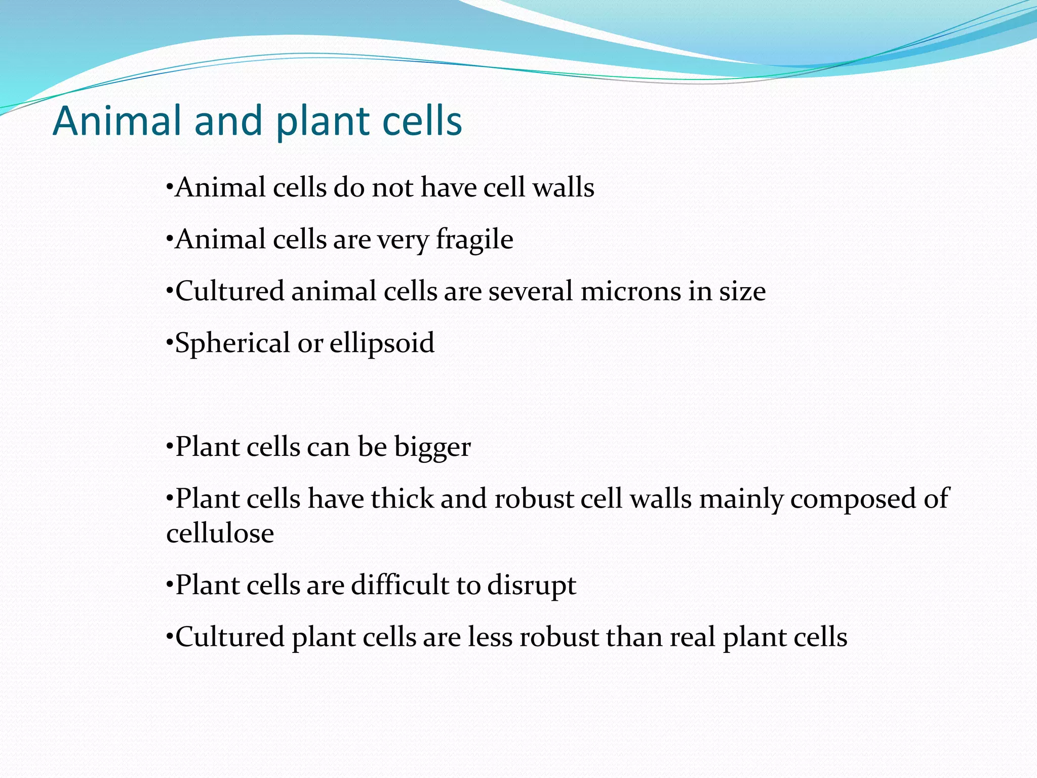 Animal and plant cells
•Animal cells do not have cell walls
•Animal cells are very fragile
•Cultured animal cells are several microns in size
•Spherical or ellipsoid
•Plant cells can be bigger
•Plant cells have thick and robust cell walls mainly composed of
cellulose
•Plant cells are difficult to disrupt
•Cultured plant cells are less robust than real plant cells
 