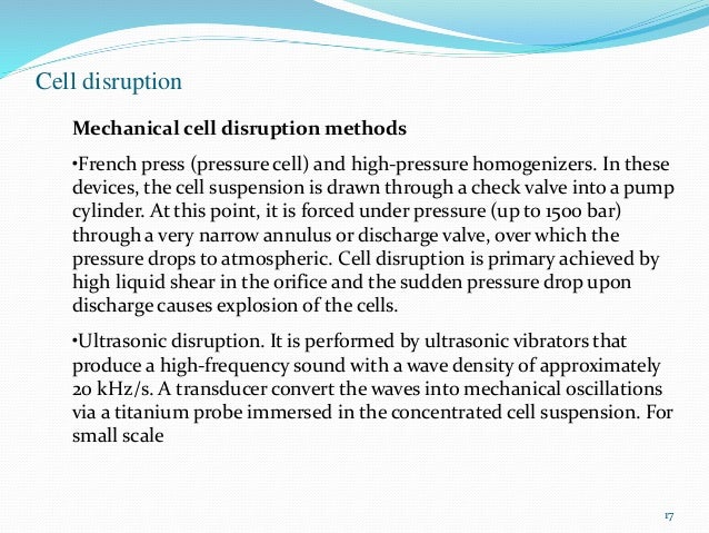 Cell distruption