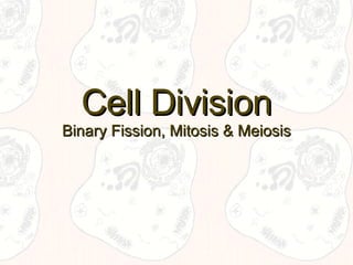 Cell Division Binary Fission, Mitosis & Meiosis 