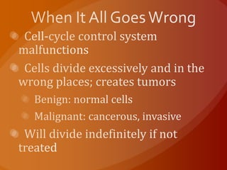 When It All Goes Wrong  Cell-cycle control system malfunctions  Cells divide excessively and in the wrong places; creates tumors  Benign: normal cells  Malignant: cancerous, invasive  Will divide indefinitely if not treated