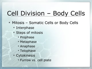 Cell Division – Body Cells ,[object Object],[object Object],[object Object],[object Object],[object Object],[object Object],[object Object],[object Object],[object Object]