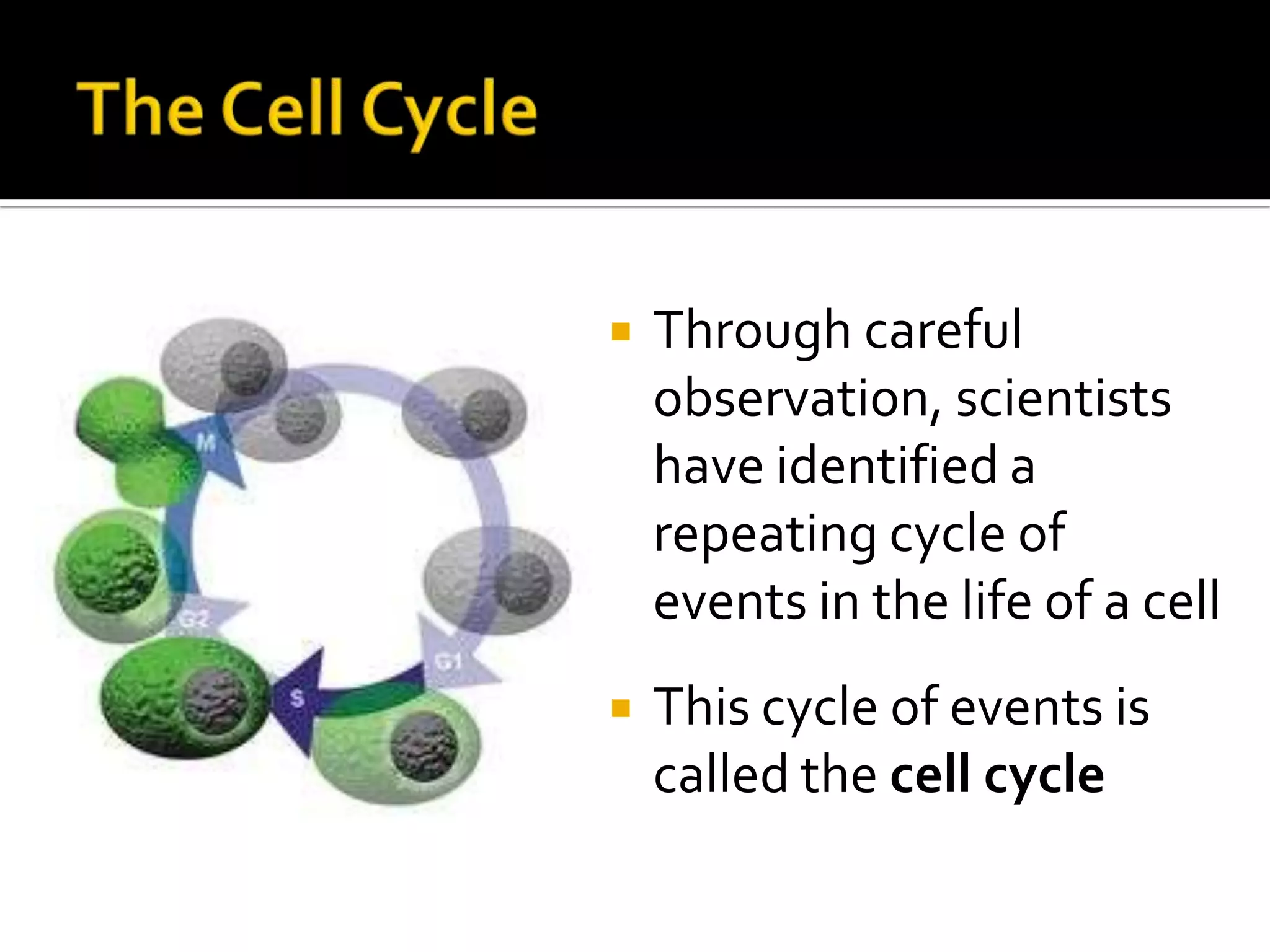 The Cell CycleThrough careful observation, scientists have identified a repeating cycle of events in the life of a cellThis cycle of events is called the cell cycle