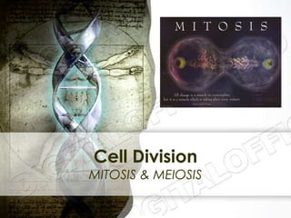 Cell Division
MITOSIS & MEIOSIS
 