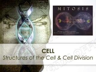 CELL
Structures of the Cell & Cell Division
 