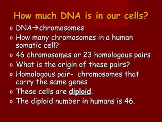 How much DNA is in our cells?
o   DNAchromosomes
o   How many chromosomes in a human
    somatic cell?
o   46 chromosomes or 23 homologous pairs
o   What is the origin of these pairs?
o   Homologous pair- chromosomes that
    carry the same genes
o   These cells are diploid.
o   The diploid number in humans is 46.
 