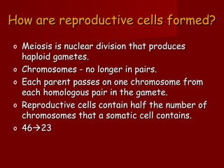 How are reproductive cells formed?
o   Meiosis is nuclear division that produces
    haploid gametes.
o   Chromosomes - no longer in pairs.
o   Each parent passes on one chromosome from
    each homologous pair in the gamete.
o   Reproductive cells contain half the number of
    chromosomes that a somatic cell contains.
o   4623
 