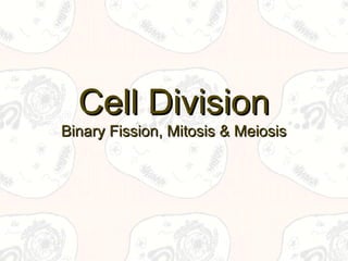 Cell Division
Binary Fission, Mitosis & Meiosis
 