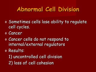 o Sometimes cells lose ability to regulateSometimes cells lose ability to regulate
cell cycles.cell cycles.
o CancerCancer
o Cancer cells do not respond toCancer cells do not respond to
internal/external regulatorsinternal/external regulators
o Results:Results:
1) uncontrolled cell division1) uncontrolled cell division
2) loss of cell cohesion2) loss of cell cohesion
Abnormal Cell DivisionAbnormal Cell Division
 
