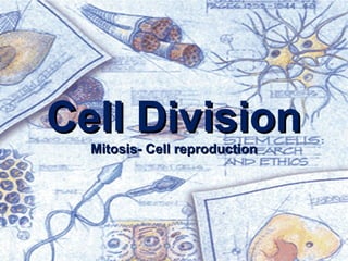 Cell Division
Mitosis- Cell reproduction

 