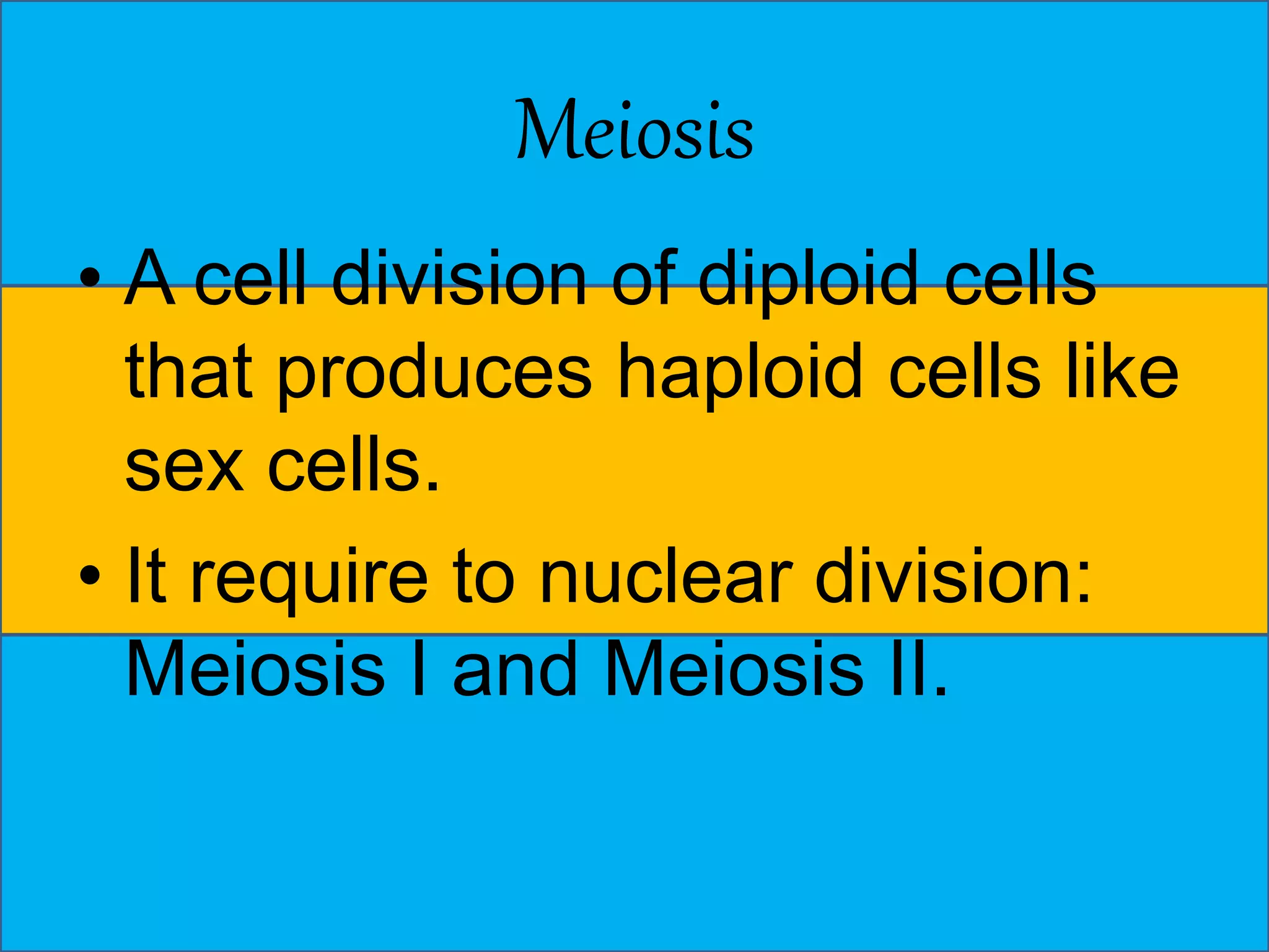 Meiosis 
• A cell division of diploid cells 
that produces haploid cells like 
sex cells. 
• It require to nuclear division: 
Meiosis I and Meiosis II. 
 