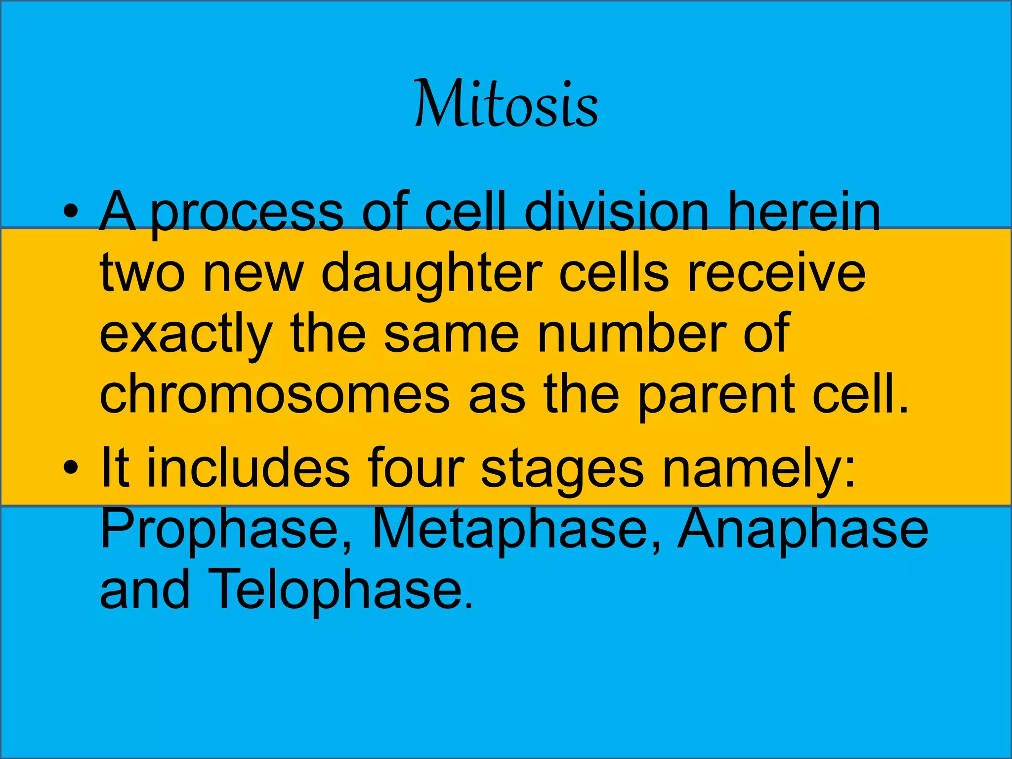 Mitosis 
• A process of cell division herein 
two new daughter cells receive 
exactly the same number of 
chromosomes as the parent cell. 
• It includes four stages namely: 
Prophase, Metaphase, Anaphase 
and Telophase. 
 