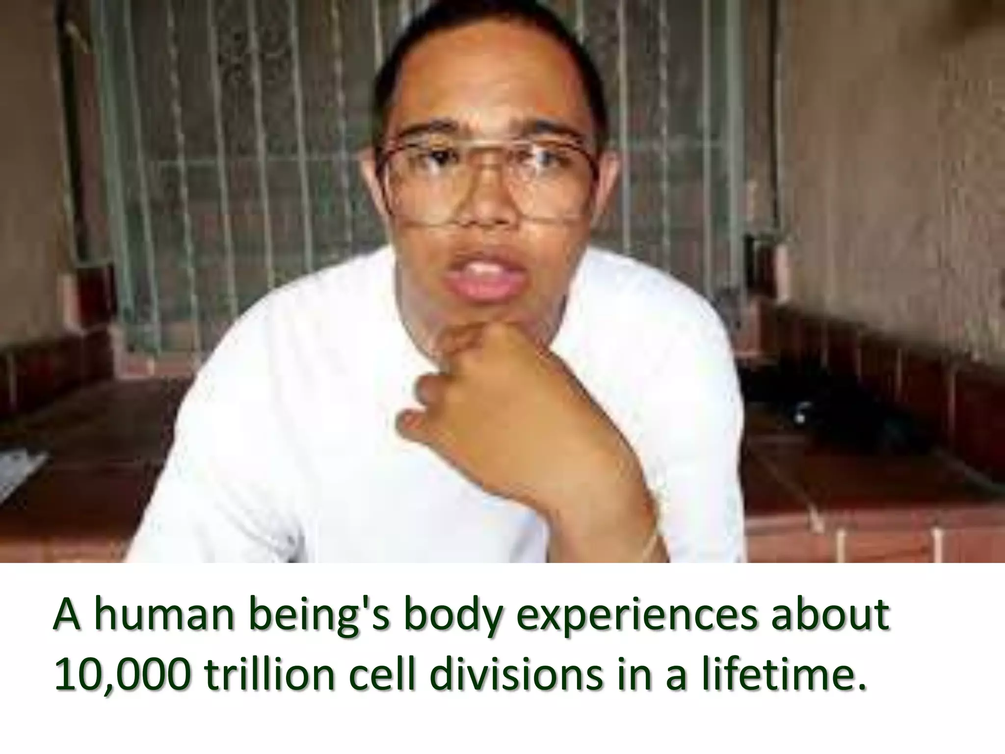 Incredible Cell Division: Unveiling The Secret Of A Dog'S Daughter Cells - 9s9bo7w