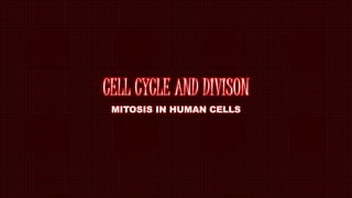 CELL CYCLE AND DIVISON
MITOSIS IN HUMAN CELLS
 