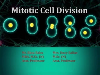 Mitotic Cell Division
Mr. Binu Babu
MBA, M.Sc. (N)
Asst. Professor
Mrs. Jincy Ealias
M.Sc. (N)
Asst. Professor
 