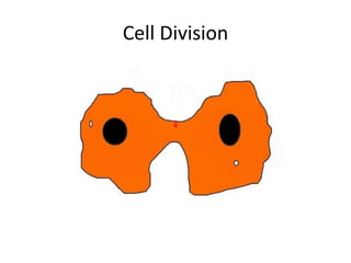 Cell Division
 