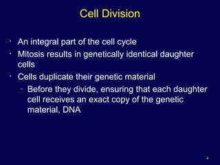 4
Cell Division
• An integral part of the cell cycle
• Mitosis results in genetically identical daughter
cells
• Cells duplicate their genetic material
– Before they divide, ensuring that each daughter
cell receives an exact copy of the genetic
material, DNA
 