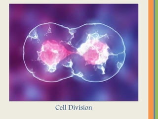 Cell division | PPTX