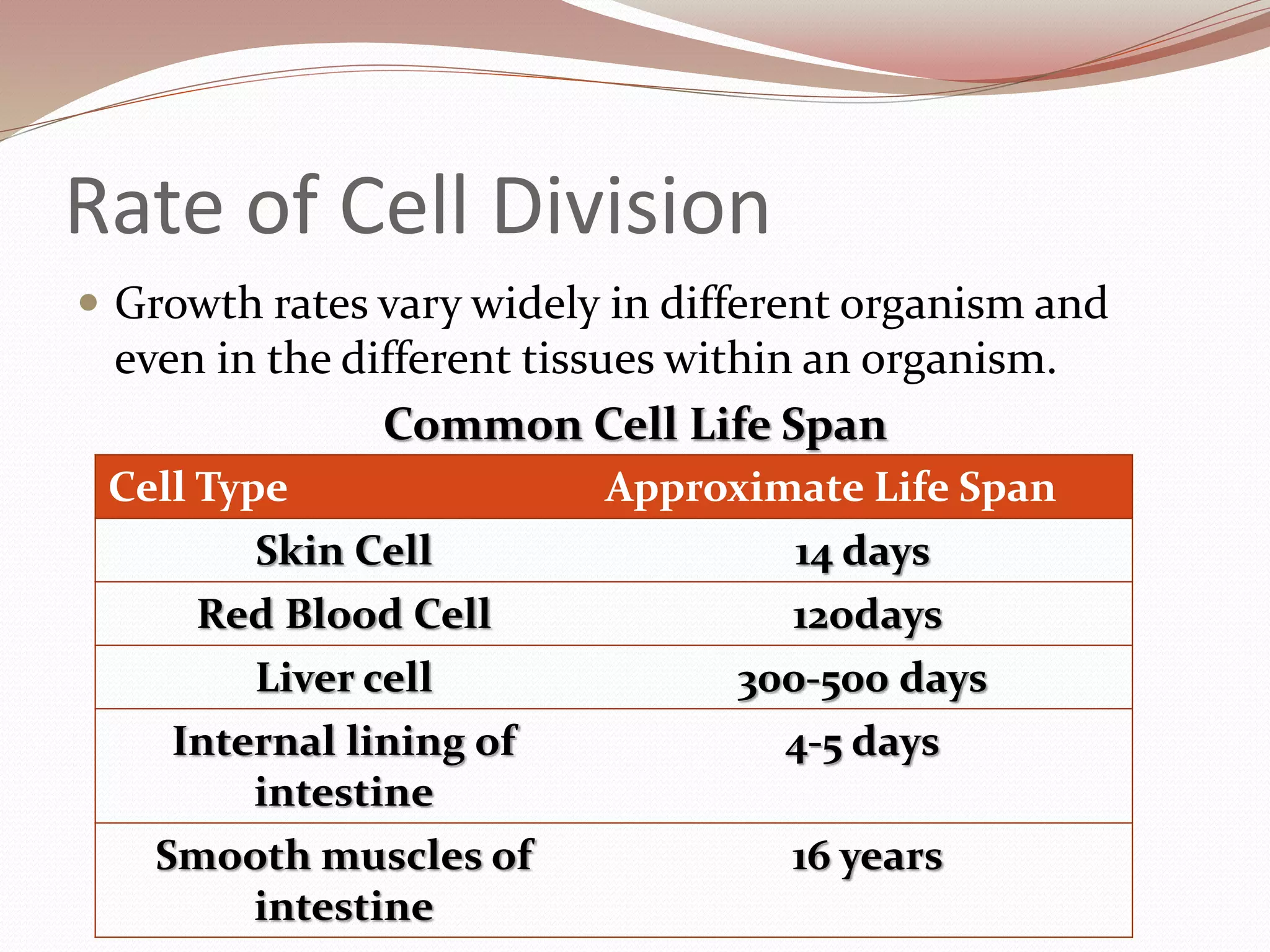 Rate of Cell Division
 Growth rates vary widely in different organism and
even in the different tissues within an organism.
Common Cell Life Span
Cell Type Approximate Life Span
Skin Cell 14 days
Red Blood Cell 12odays
Liver cell 300-500 days
Internal lining of
intestine
4-5 days
Smooth muscles of
intestine
16 years
 