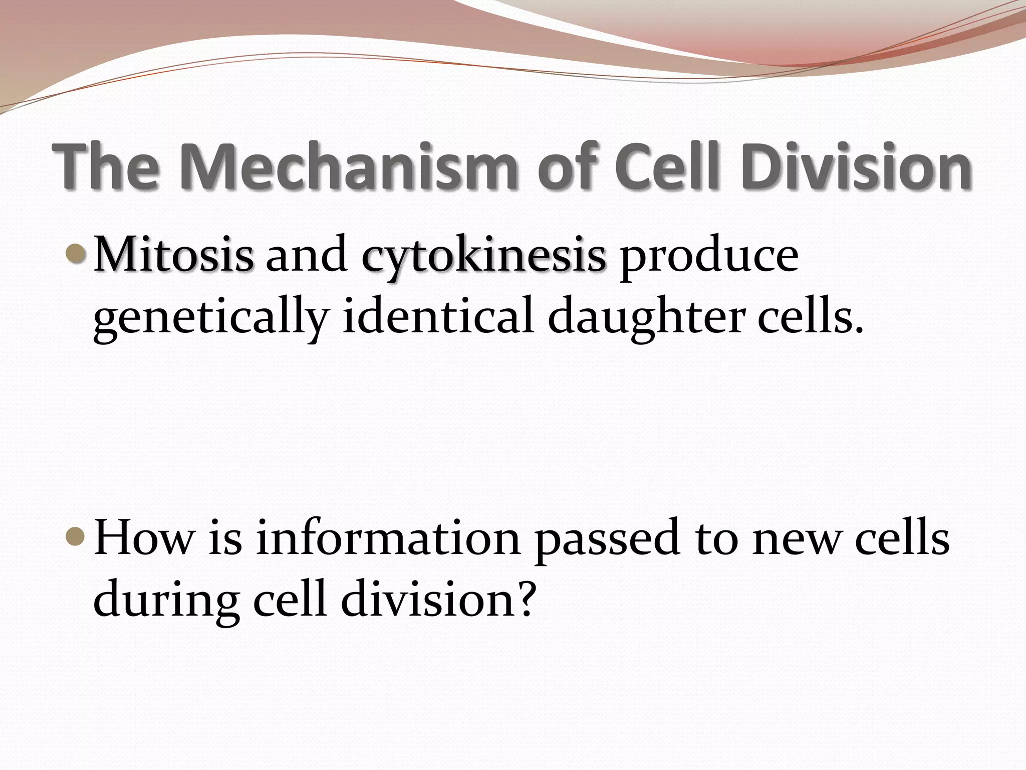 The Mechanism of Cell Division
Mitosis and cytokinesis produce
genetically identical daughter cells.
How is information passed to new cells
during cell division?
 