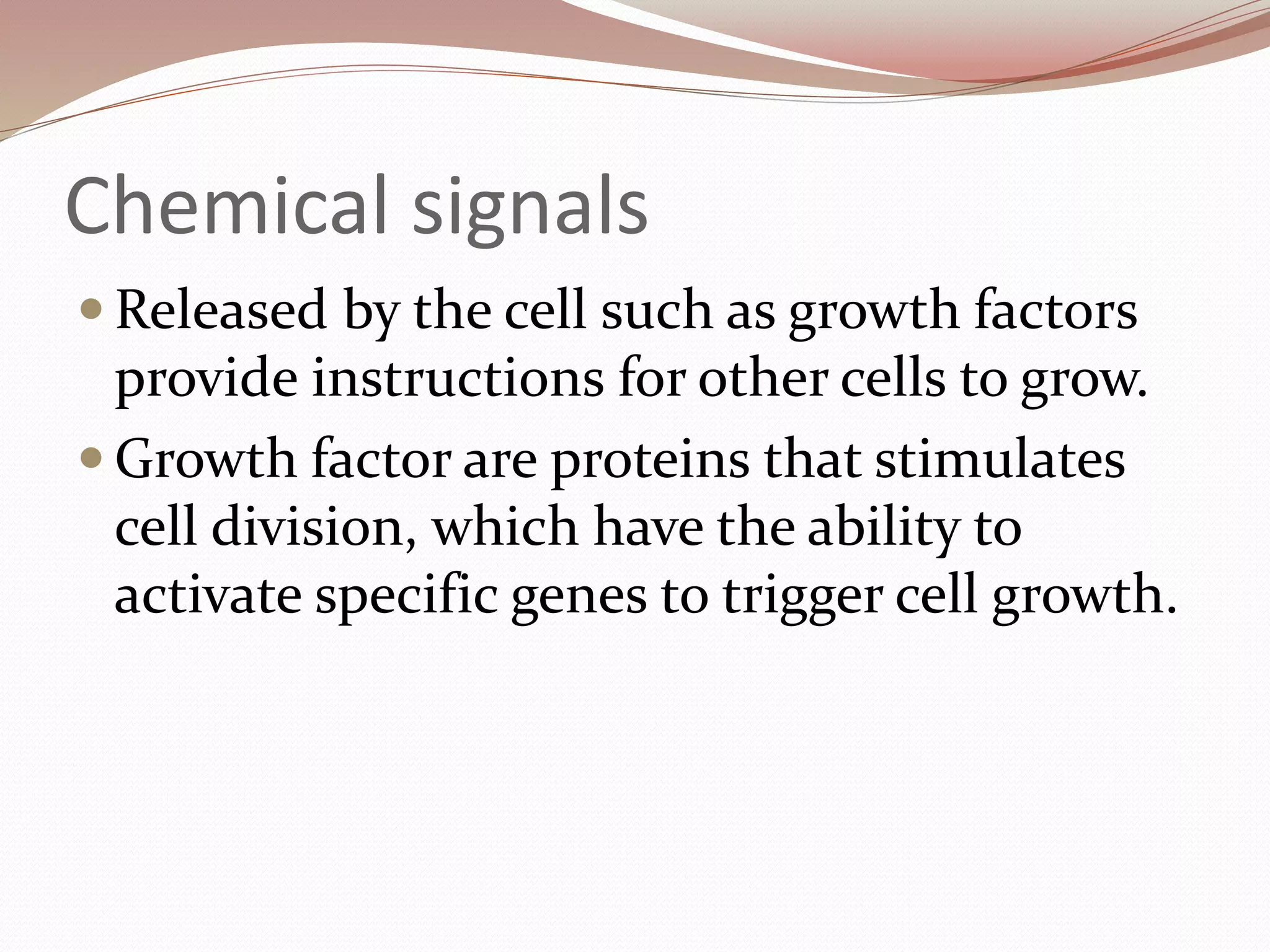 Chemical signals
 Released by the cell such as growth factors
provide instructions for other cells to grow.
 Growth factor are proteins that stimulates
cell division, which have the ability to
activate specific genes to trigger cell growth.
 
