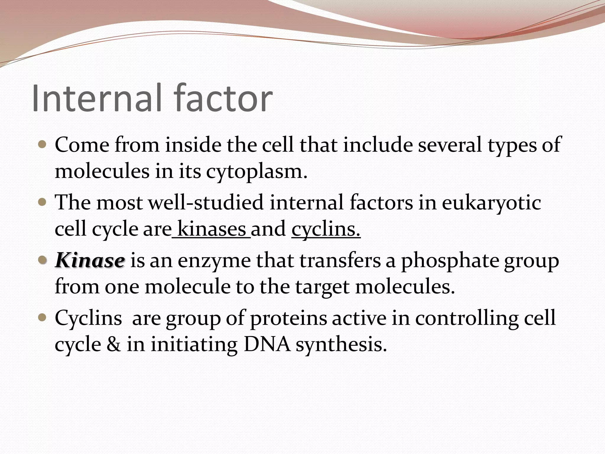 Internal factor
 Come from inside the cell that include several types of
molecules in its cytoplasm.
 The most well-studied internal factors in eukaryotic
cell cycle are kinases and cyclins.
 Kinase is an enzyme that transfers a phosphate group
from one molecule to the target molecules.
 Cyclins are group of proteins active in controlling cell
cycle & in initiating DNA synthesis.
 