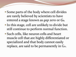  Some parts of the body where cell divides
are rarely believed by scientists to have
entered a stage known as gap zero or G0.
 In this stage, cell are unlikely to divide but
still continue to perform normal function.
 Such cells, like neuron cells and heart
muscle cell that are highly differentiated or
specialized and that body cannot easily
replace, are said to be permanently in G0.
 