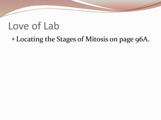 Love of Lab
 Locating the Stages of Mitosis on page 96A.
 
