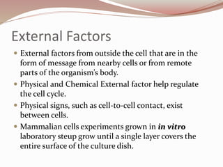 External Factors
 External factors from outside the cell that are in the
form of message from nearby cells or from remote
parts of the organism’s body.
 Physical and Chemical External factor help regulate
the cell cycle.
 Physical signs, such as cell-to-cell contact, exist
between cells.
 Mammalian cells experiments grown in in vitro
laboratory steup grow until a single layer covers the
entire surface of the culture dish.
 