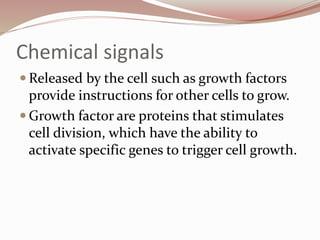 Chemical signals
 Released by the cell such as growth factors
provide instructions for other cells to grow.
 Growth factor are proteins that stimulates
cell division, which have the ability to
activate specific genes to trigger cell growth.
 