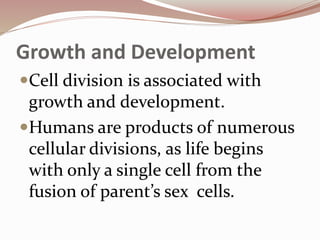 Growth and Development
Cell division is associated with
growth and development.
Humans are products of numerous
cellular divisions, as life begins
with only a single cell from the
fusion of parent’s sex cells.
 